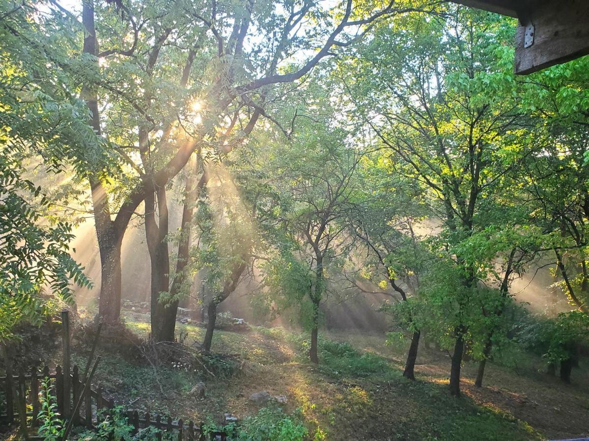 5 Ojo Inn Bed And Breakfast Eureka Springs Ngoại thất bức ảnh